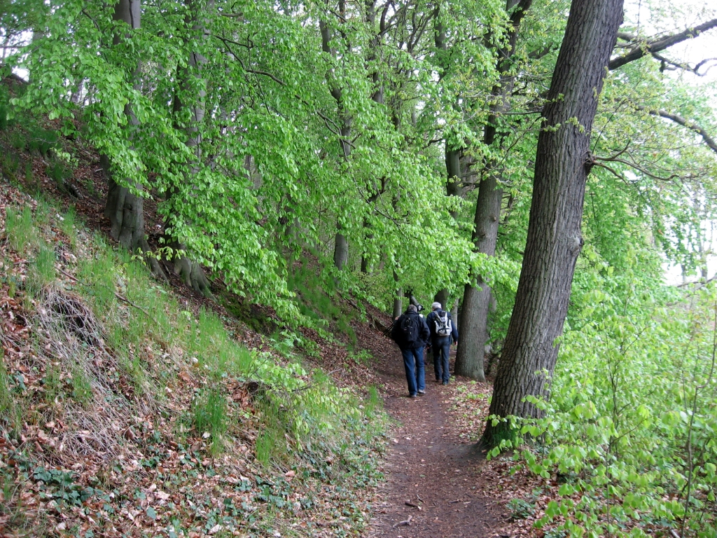 Duitsland Elly (1)